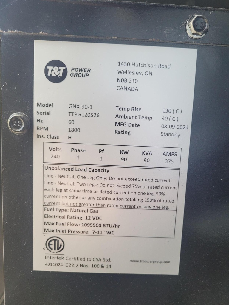 T&T Power Group GNX-90 Natural Gas