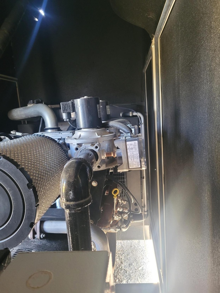 T&T Power Group GNX-90 Natural Gas